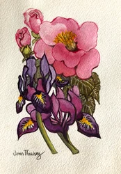 Camelia e iris holandés